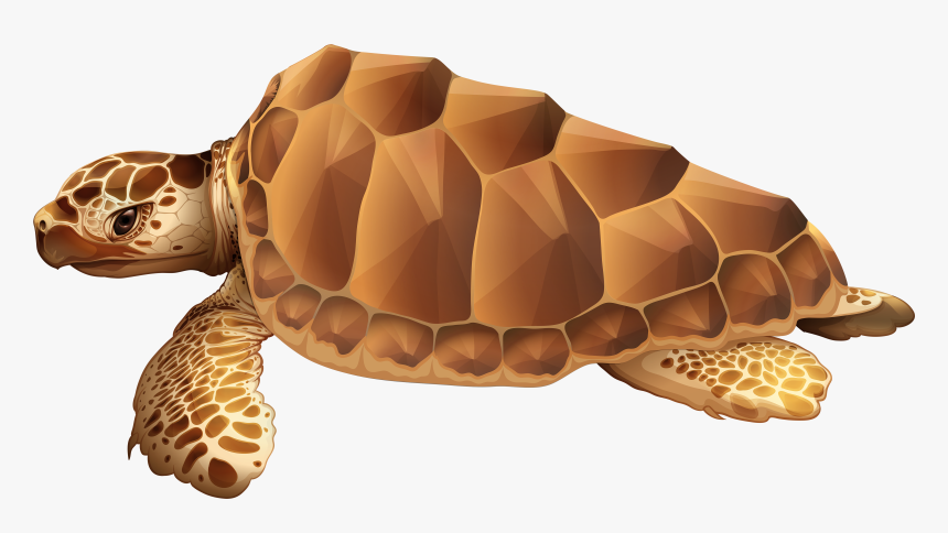 Sea Png Clip Art - Sea Turtle Png Clipart, Transparent Png