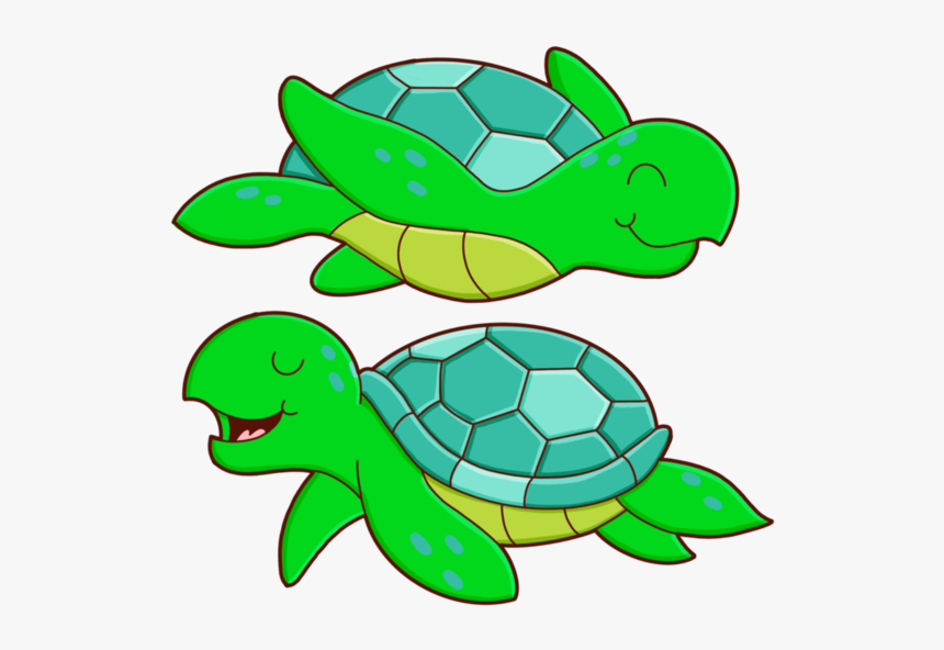 Sea Turtles, HD Png Download