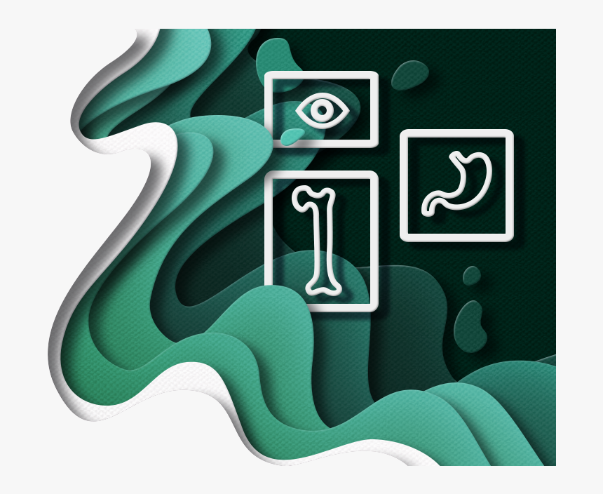 Paper Cut Of Portfolio Icon - Graphic Design, HD Png Download