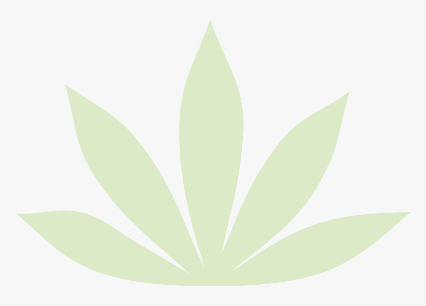 Leaf, HD Png Download