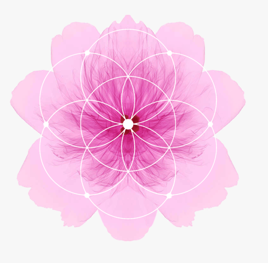 Satnamrasayanmandalas - Circle, HD Png Download