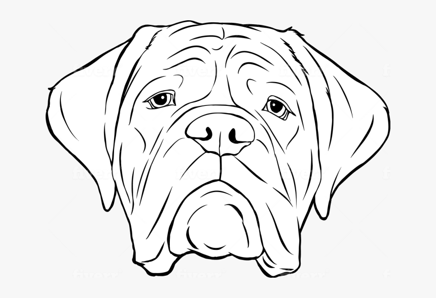 Dog Yawns, HD Png Download