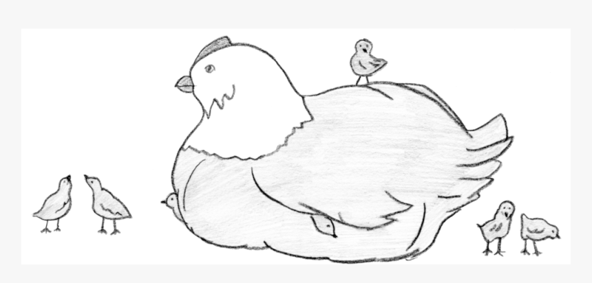 Chicken - Sketch, HD Png Download