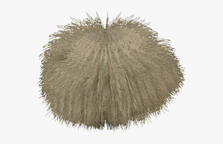 Tree, HD Png Download