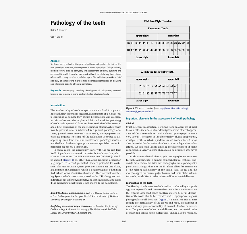 Document, HD Png Download