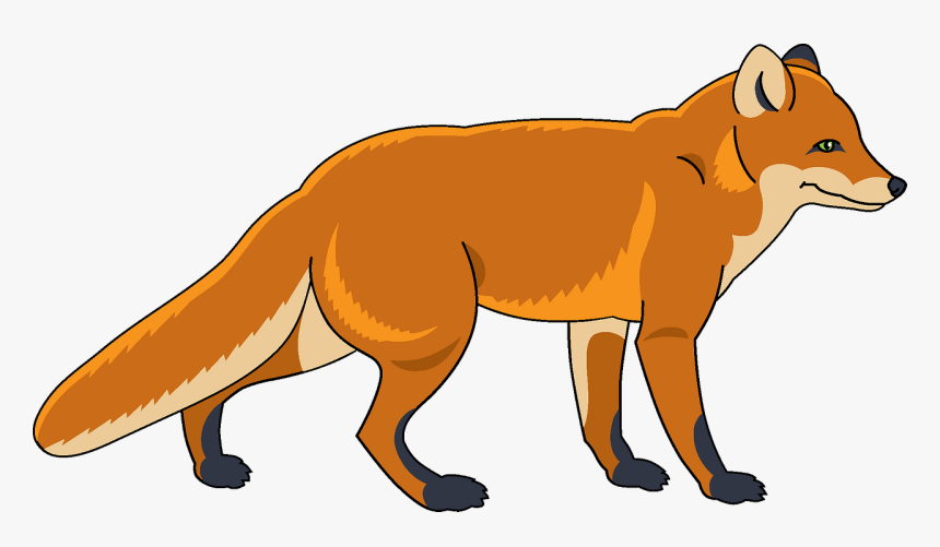 Red Fox, HD Png Download