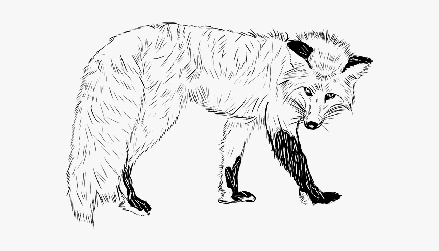 Line Art, HD Png Download