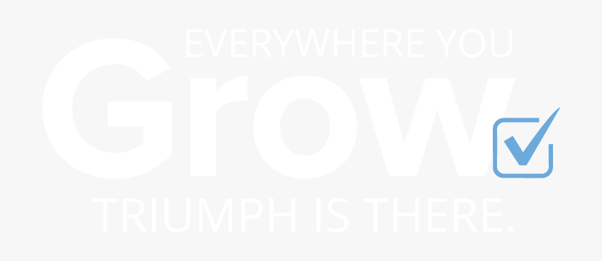 Cockney Rebel Greatest Hits, HD Png Download