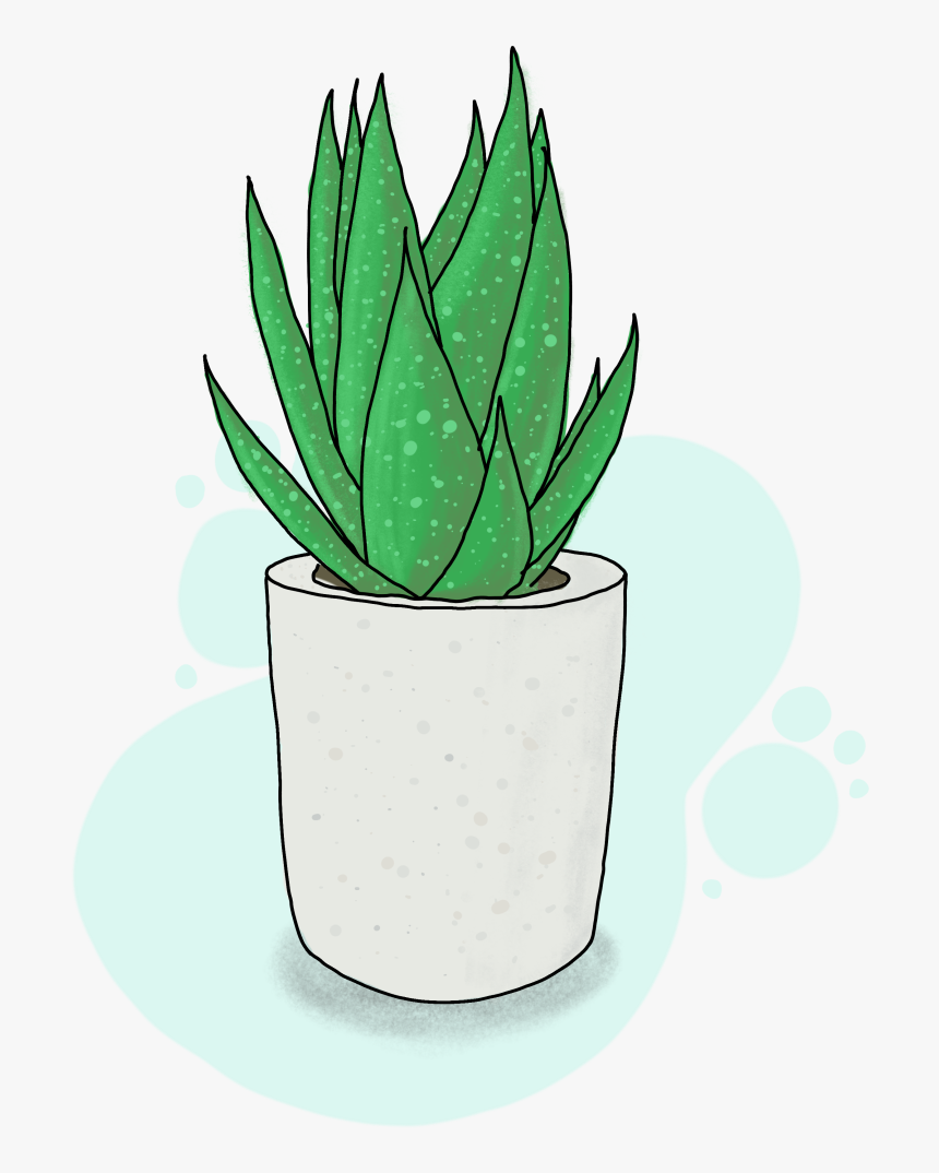 Flowerpot, HD Png Download