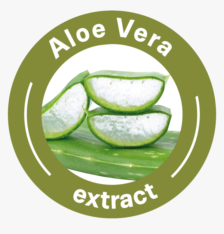 Aloe Vera Textile, HD Png Download