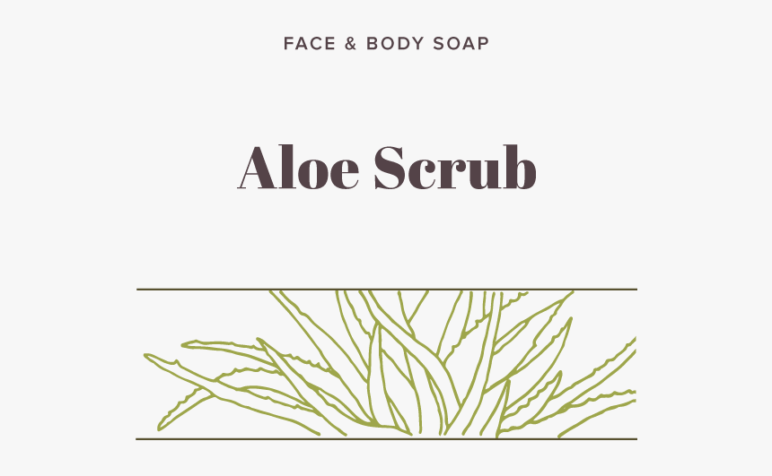 Aloe, HD Png Download