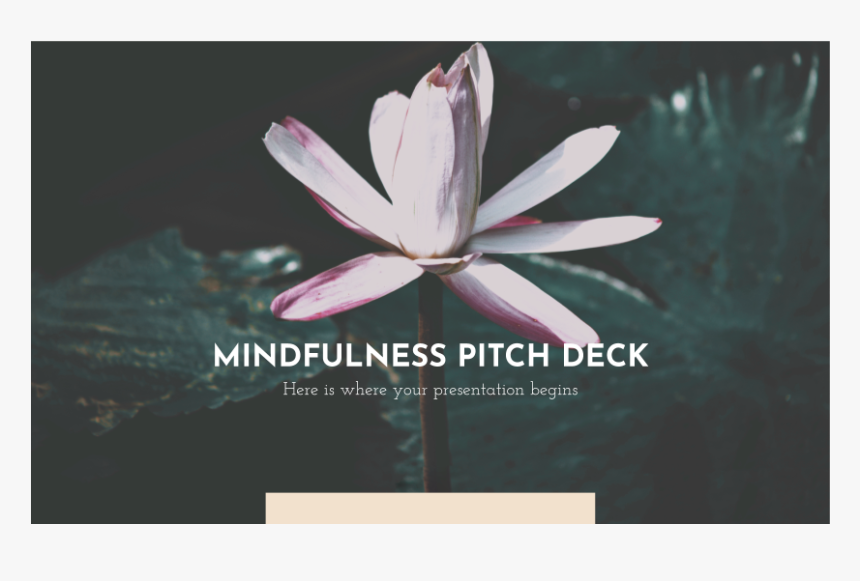 Water Lily, HD Png Download