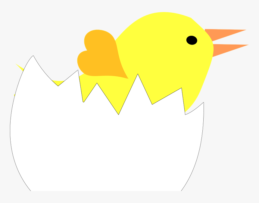 Transparent Equivalent Fractions Clipart, HD Png Download