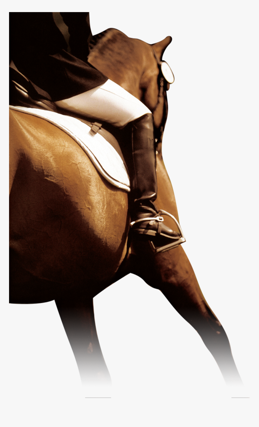 Horse, HD Png Download