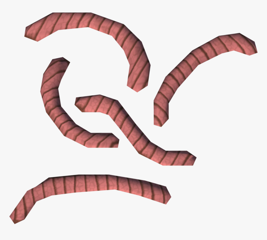 The Runescape Wiki - Waxworm, HD Png Download