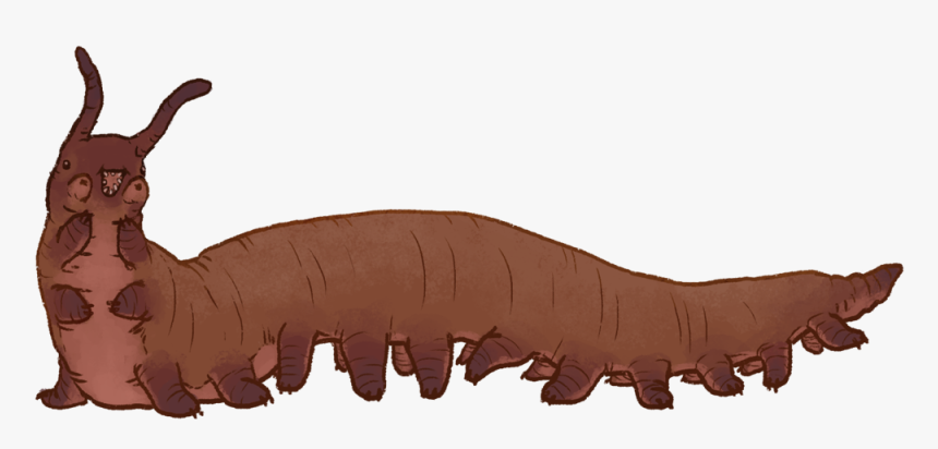 Transparent Worms Giant - Onychophora, HD Png Download
