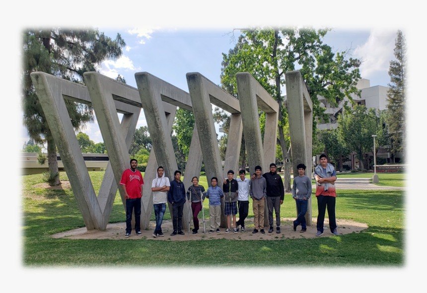 10 - Tree, HD Png Download