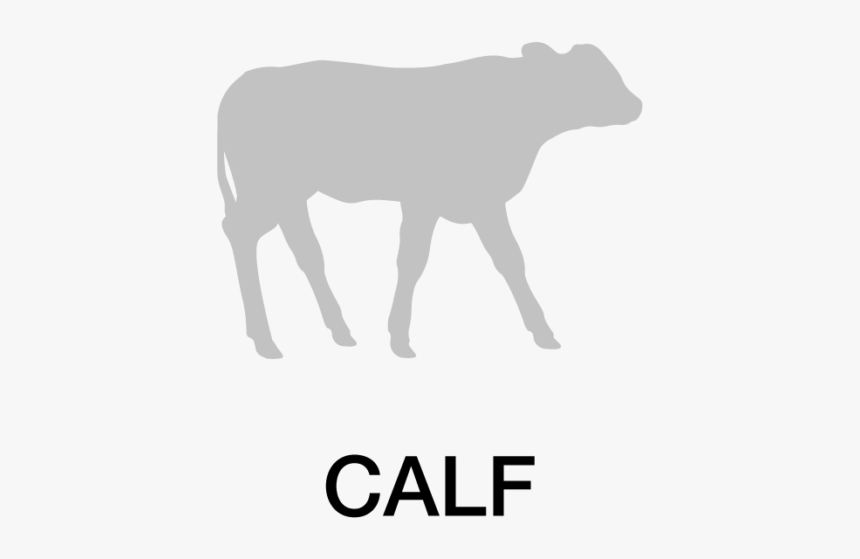 Calf Icon - Calf, HD Png Download