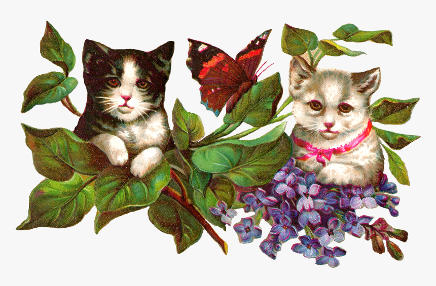 Antique Images Vintage Image - Vintage Flower Cat Clipart, HD Png Download