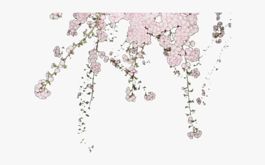 Editing, Flowers, And Overlay Image - Wisteria, HD Png Download