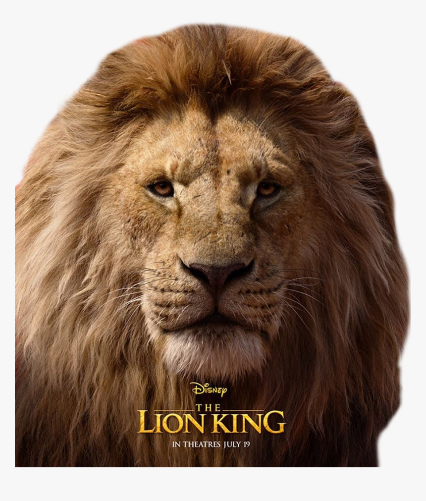 #mufasa #thelionking #lionking #disney #lion, HD Png Download