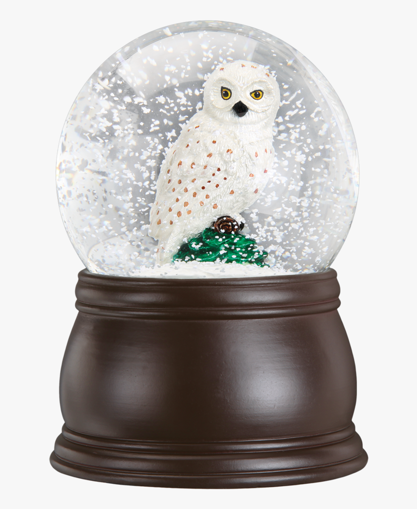 Great White Owl Snow Globe - Snow Globe, HD Png Download