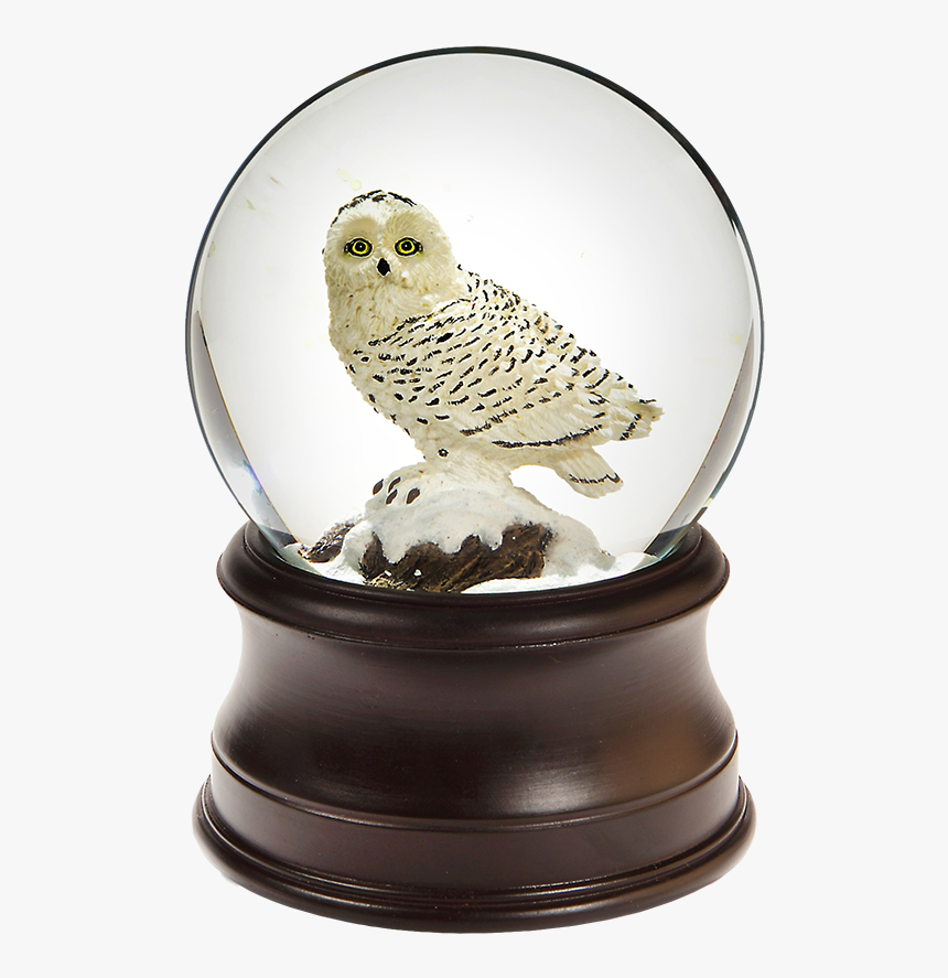 Owl Snow Globe, HD Png Download