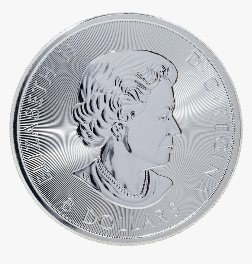 Transparent Snow Owl Png, Png Download