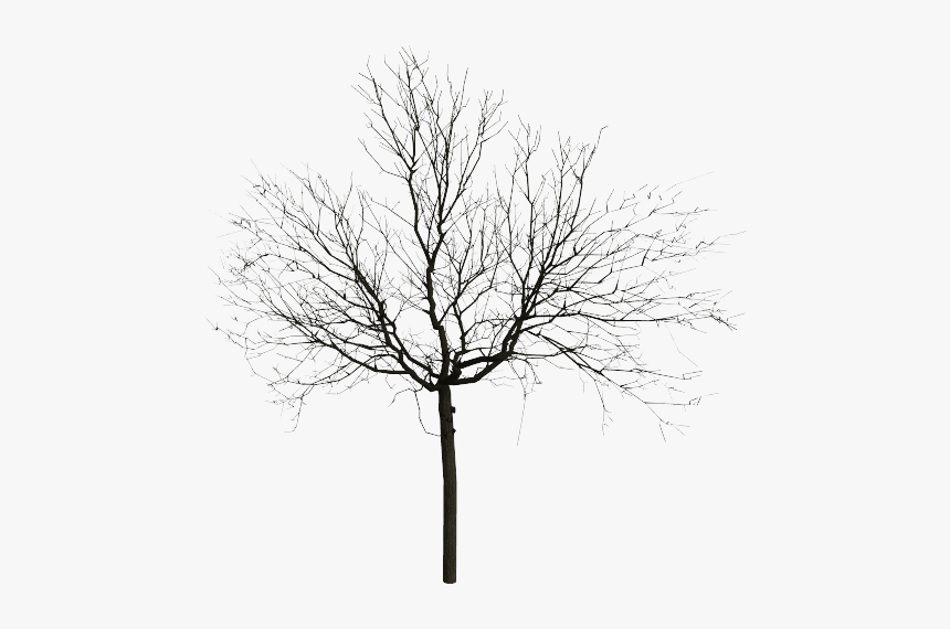 Clip Art Collection Of Free Drawing - Snow, HD Png Download