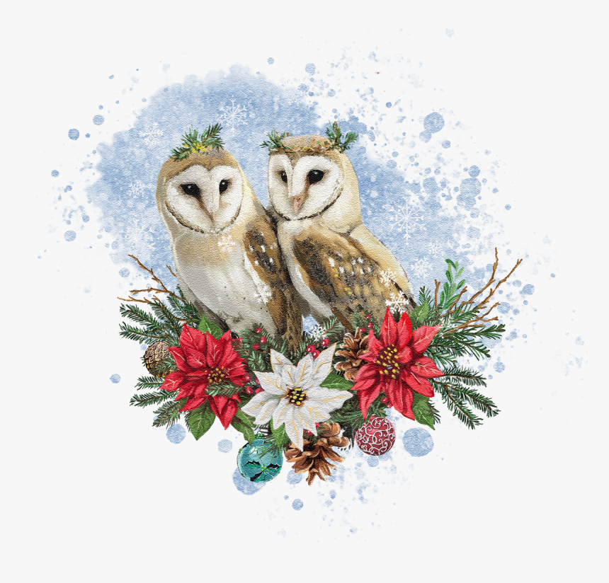 Barn Owl, HD Png Download