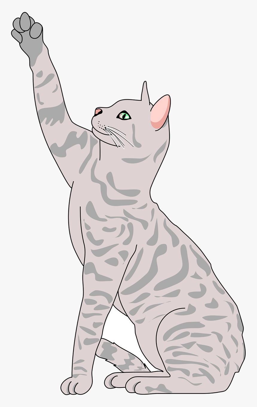 Cat Clipart Free, HD Png Download