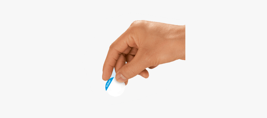 Document, HD Png Download