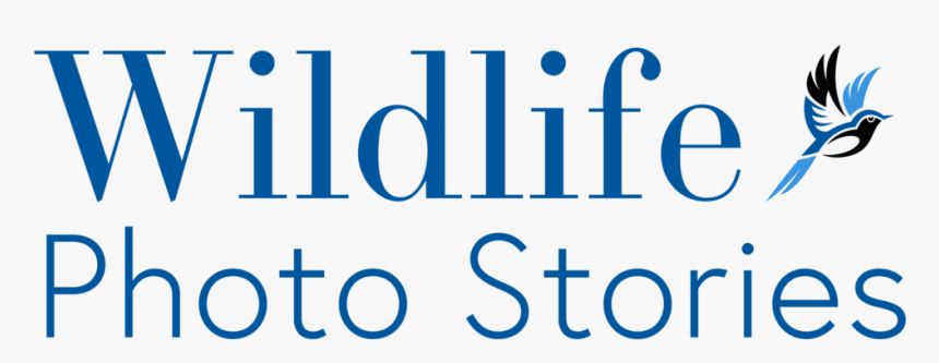 Wildlife Photo Stories Logo Large - Circle, HD Png Download