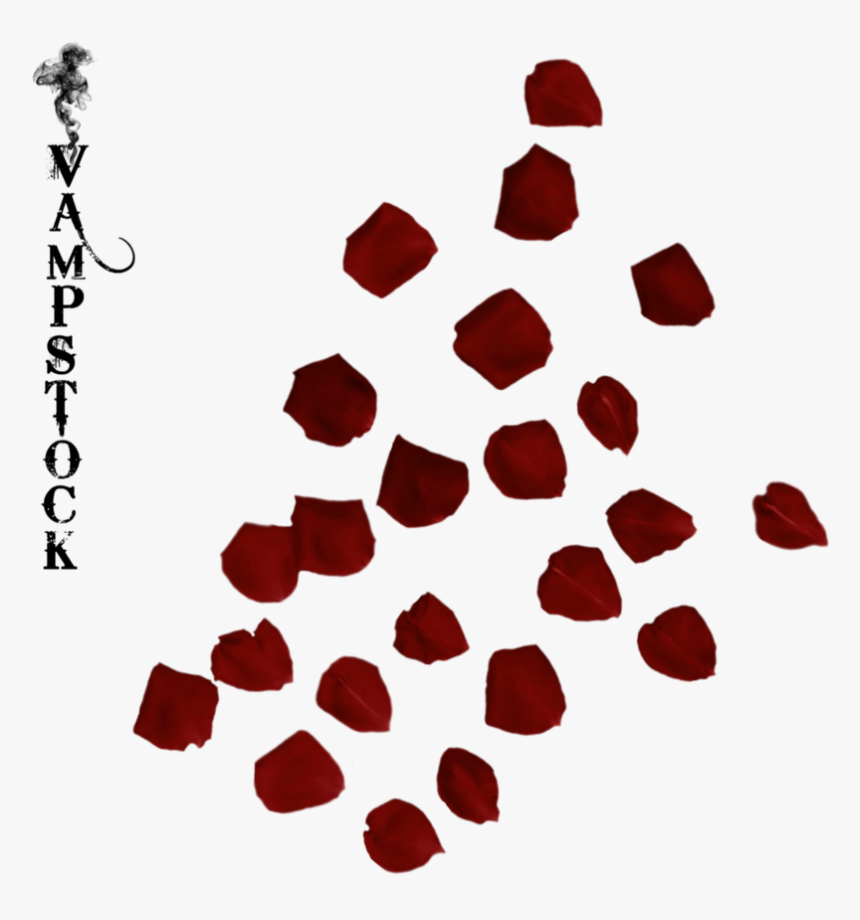 Kolej Bunga Raya Unimas, HD Png Download