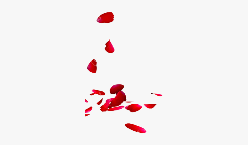 Transparent Rose Petals Png, Png Download
