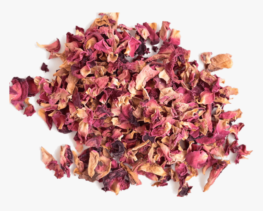 Transparent Red Petals Png - Hydrangea, Png Download