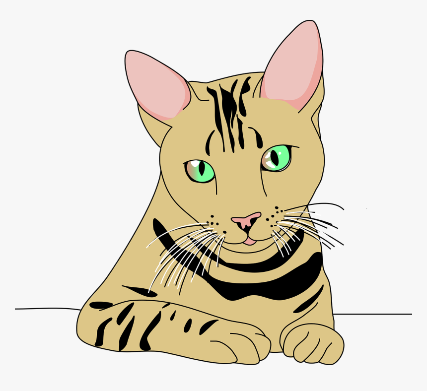 Cat, HD Png Download
