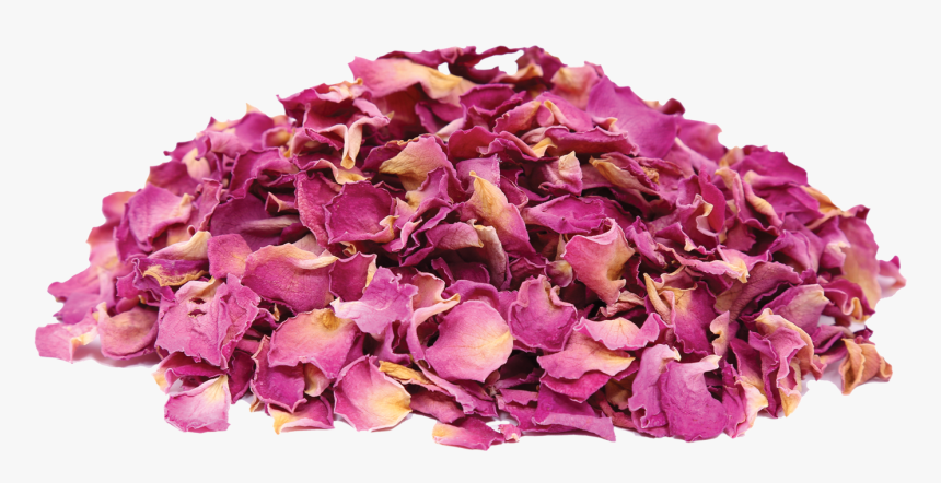 Transparent Red Petals Png - Dried Rose Petals Png, Png Download
