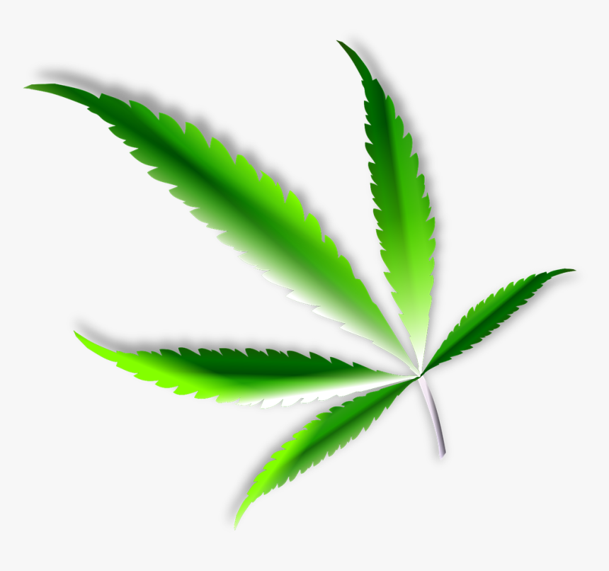 Marijuana Png, Transparent Png