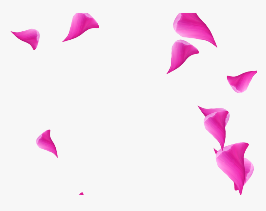 Rose, HD Png Download