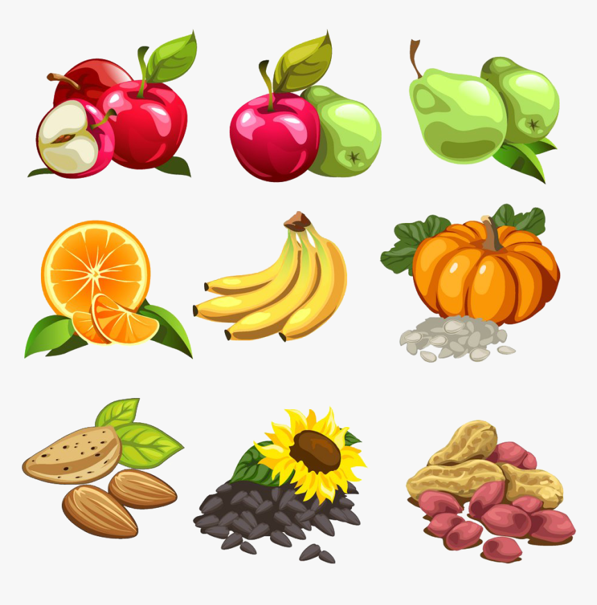 Nut Cartoon Illustration Apple - Dibujo De Alimentos, HD Png Download