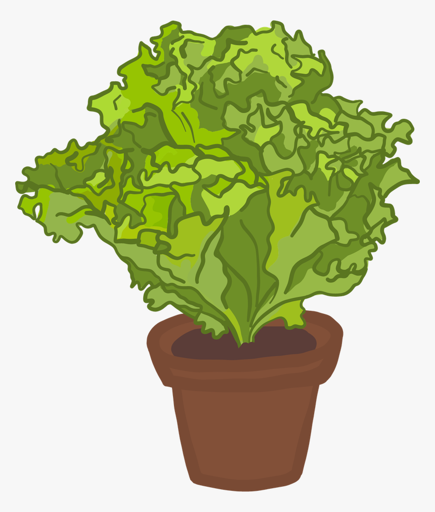 Flowerpot, HD Png Download