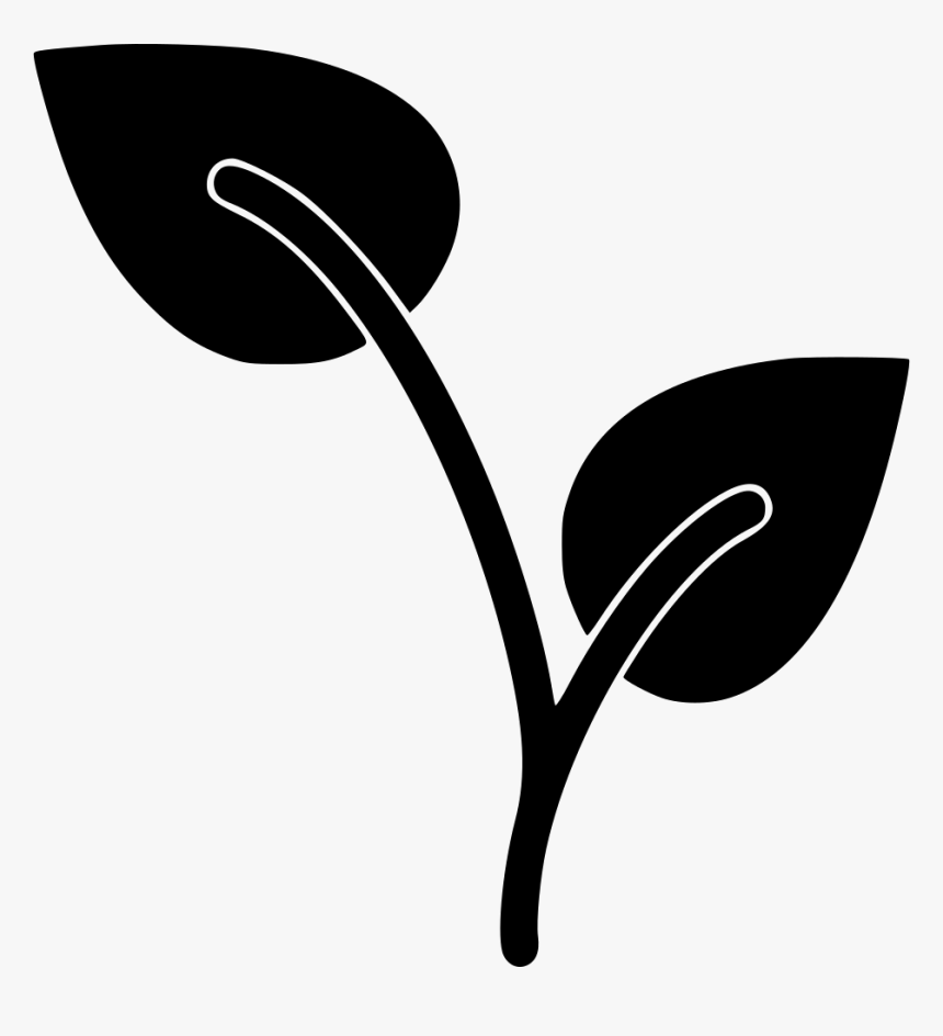 Growing Plant, HD Png Download