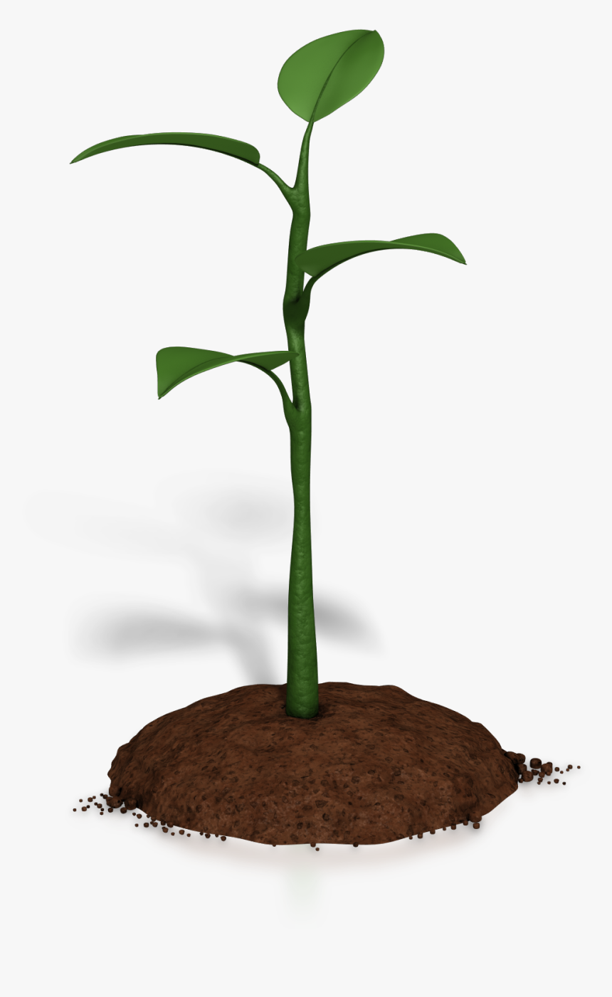 Soil Clipart Plant Growth - Without Continual Growth And Progress Such Words, HD Png Download