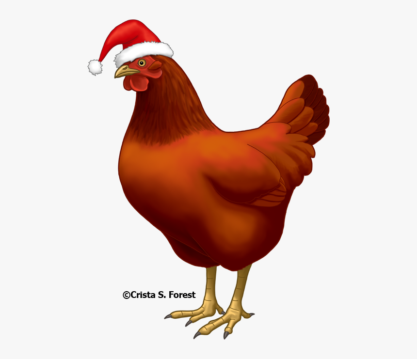 Well, Looks Are Deceiving - Chicken With Santa Hat, HD Png Download