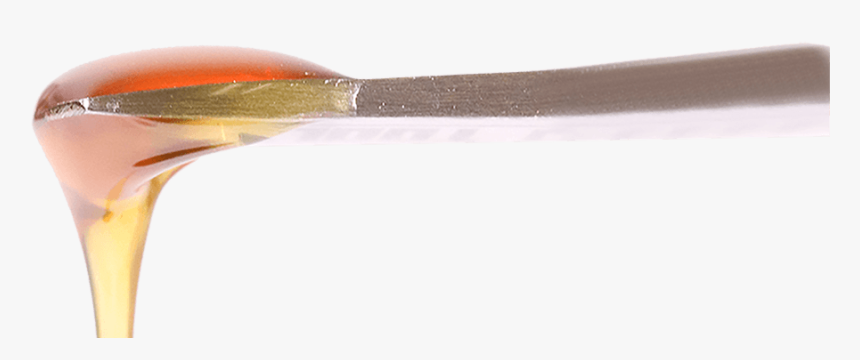 Rosin - Insect, HD Png Download