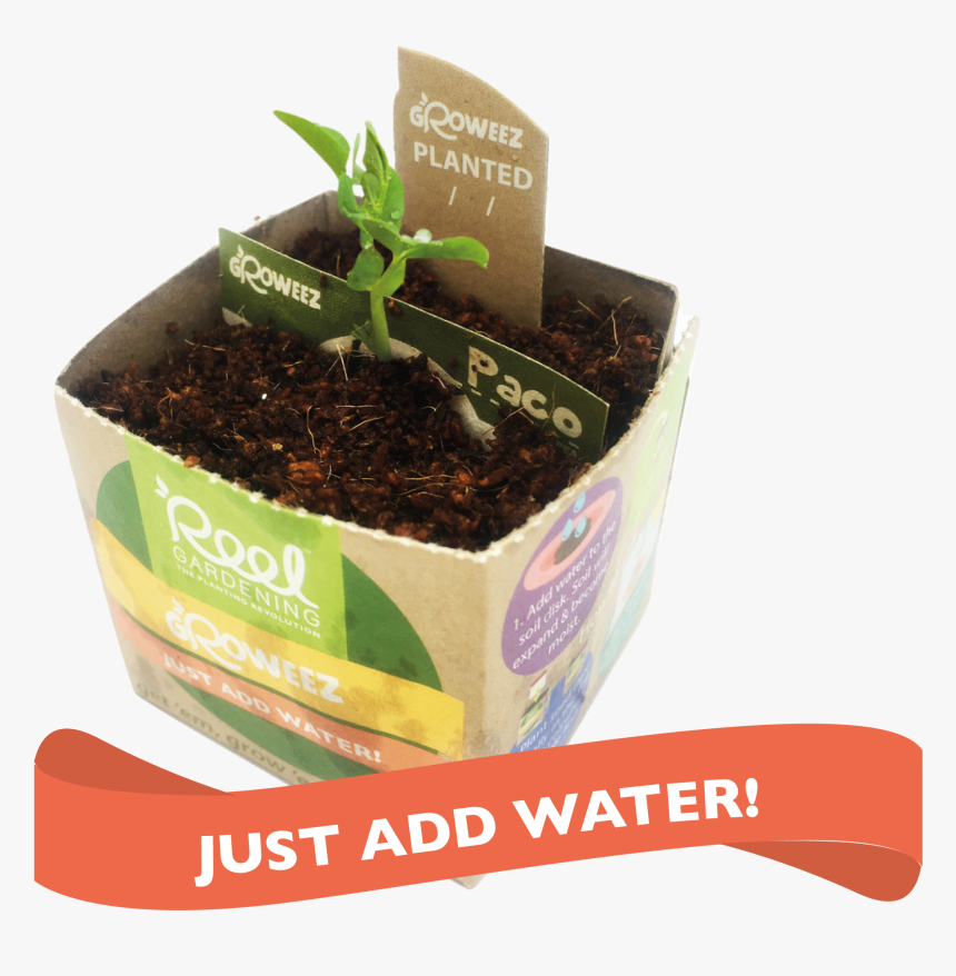 Just Got Real Llama, HD Png Download