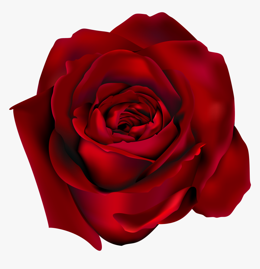 Png Clipart Picture Gallery - Red Rose, Transparent Png