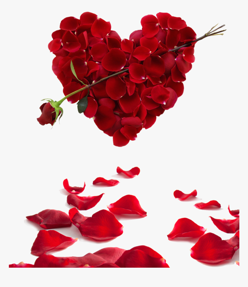 Transparent Red Rose Petals Png - Valentines Day Heart Roses, Png
