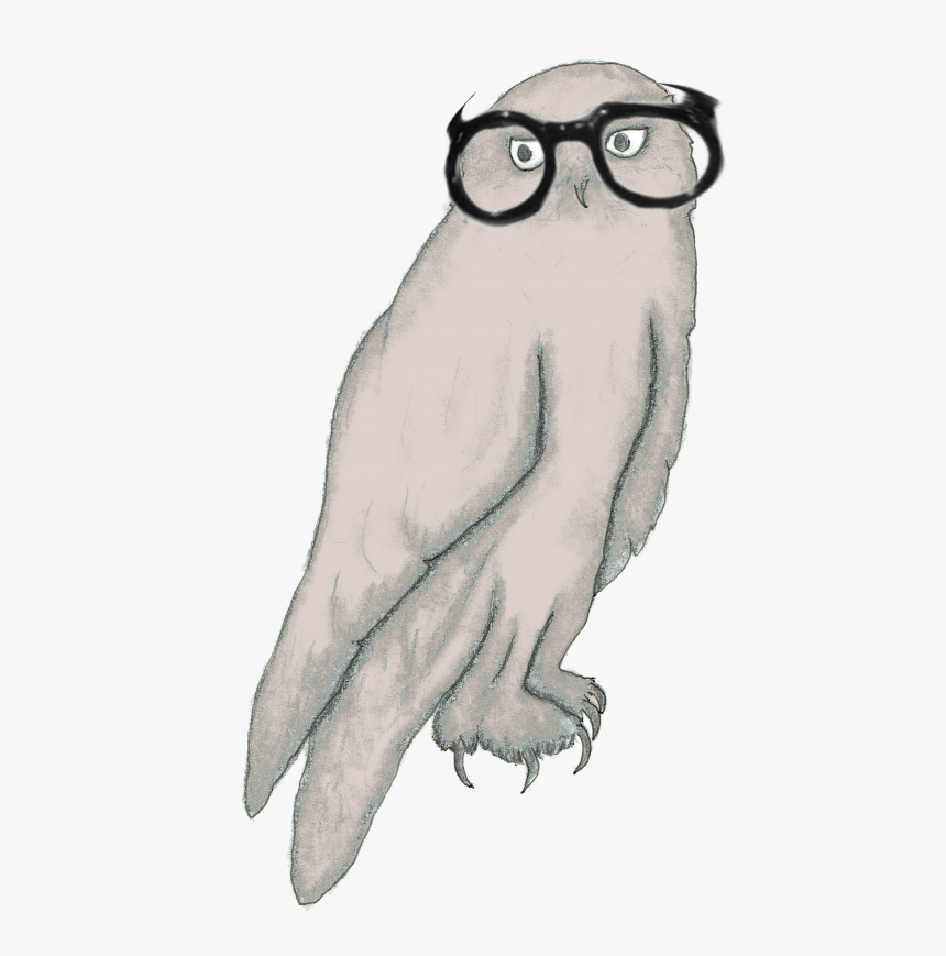 Nusss® Illustration Art Graphic Design - Great Horned Owl, HD Png Download